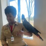 Adrienne C. Moore Instagram - Happy season 3 to @prettyhardcases When I began this journey, now 3 years ago, I had no idea what was in store. A secret, I visited CA with family back in 2018 and I made a wish to Niagara Falls that I would return some day to hopefully live and work there. Who would've thought 2019 would bring that to fruition. Being hired was literally a DREAM COME TRUE! But I had no idea what lay ahead. I knew I wanted the opportunity to prove to myself, this industry, the world that a full figured, natural haired and middle aged Black woman could lead a show. I wanted to prove that she could have range. That she could be funny and heartbreaking, complex yet simple. Kelly Duff was the genius creation of @tassievcameron and @streely and they have allowed me to bring her to life. And playing a cop has been a lesson learned. I feel like I just want to get it right. To portray the reality of what police face on a daily basis. They are regular people too, and most want to be seen as such. It was always my hope that portraying a cop, and a black one at that, would restore/build some type of trust and community between themselves and the people they've agreed to serve and protect. This season I wanted to explore all those nuances. I wanted to look at positive examples of #blacklove, the complex struggle of being a cop and a civilian as well. And what happens when those worlds collide. Thank you @cameronpicstv and the writers for always allowing me to be a part of the conversation; the cast and especially the crew who made this season. We couldn't have done it without you. Here are some of my favorite #bts moments. To @meredithmacneill - oceans deep with love for you. Cause you ride it with me each day. Thank you for our “smoothie” breaks and always keeping it light and funny on set. ENJOY SEASON 3. NOW AVAILABLE @cbc /@cbcgem. SEASONS 1&2 available @netflixca @amazonfreevee HOPEFULLY SEASON 3 will stream soon and very soon around the rest of the world for you to enjoy. LMK YOUR THOUGHTS. SEASON 4, ANYONE?