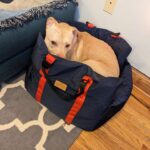 Adrienne C. Moore Instagram - Look who's loving their new travel bed from @perrouno.official. although it was meant for @mowgli.and.lola, big boy @loddy.doddy couldn't resist getting into it as well. HE LOVES IT! I guess we'll have to get him his own now! Can't wait to take this puppy out on the road. Thanks @perrouno.official