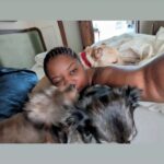 Adrienne C. Moore Instagram - H A P P Y N A T I O N A L P U P P Y D A Y. To know me is to know how much I love these 3. S/O to puppy rescue. @mowgli.and.lola I rescued in LA (@hopeforpawsrescue) and my @loddy.doddy I found on the streets of ATL. Or should I say, they rescued me. Love you pooches. And even though you're getting older, you'll always be my puppies. 💋 Can you guess which puppies are Lola and Mowgli in the first picture? #rescuedog #dogsofinstagram