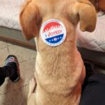 Adrienne C. Moore Instagram - No matter what, get out there and #vote. Even in the rain, #ivoted. Polls are open until 9pm
