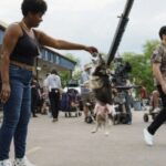 Adrienne C. Moore Instagram - #BTS to episode 3 of @prettyhardcases directed by the amazingly talented @directedbykells and written by the just as equally talented @carsasm. I had such a fun time with this episode because I got to film my first #caribana experience and then attend a real one that same year. #fortheculture Thank you @torontorevellers for letting me participate in your mas camp. I had an incredible time. My legs never hurt so much afterwards. But it was the good hurt. And to all my @northwesternu college friends that ditched me back in the day to go #Toronto for #caribana, I finally got my chance. You know who you are!! (@lmoney21 @stewartstarlit @lexeeberry etc...) I had so much fun that I lost my phone (shame to the person that took it and didn't return it 👅) Hope you're loving the new season!