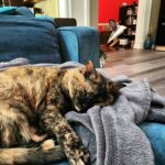 Adrienne Reese Instagram – I can’t wait to get home to my babies!!! Zoom in for a winter RBF. Lol