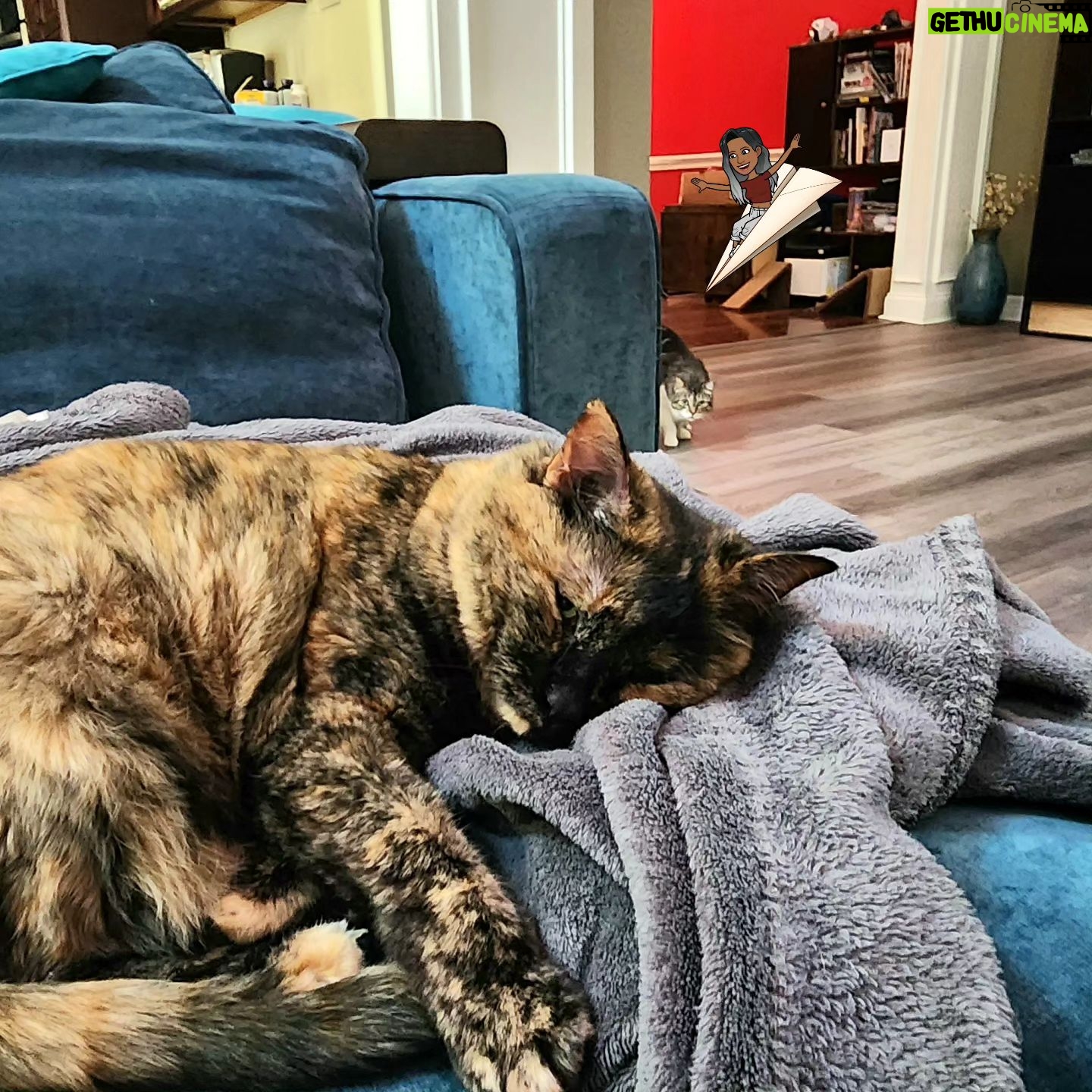 Adrienne Reese Instagram - I can't wait to get home to my babies!!! Zoom in for a winter RBF. Lol