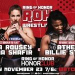 Adrienne Reese Instagram - .@ringofhonor These #PorcelainHussues must be dreaming, if they think they are gonna beat @BillieStarkz and your #MinionOverlord Check it out tonight! #WatchROH