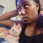 Adrienne Reese Instagram – .@twitch
Today I  stream with some more #PrincessPeachShowtime and the return of the theets 

Come on and join the fun around 5pm est!! 
Twitch.tv/halfdragonap 

Like or sub so you know when I go live!!!