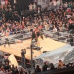 Adrienne Reese Instagram - .@Aew @Aewontv Words can't explain how awesome it was to see @edgeratedr debut and spear everyone out of their shoes!!! I got to live that moment from the crowd and couldn't have been more ecstatic!! Sorry for my screams and shaky vid but I am a fan at heart!!! Welcome Adam!!