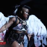 Adrienne Reese Instagram – .@ringofhonor 
Thank you minions ! Thank you #Porcelain @willowwrestles ! Thank you @TonyKhan! You’ll never know how much this means to me!
#AthenavsWillowMainEvent 

#AndForeverROHChamp

 #FallenGoddess #TheAlpha #JoshiKiller  #ROHGateKeeper #PorcelainBreaker #WatchROH #ROHDBD
