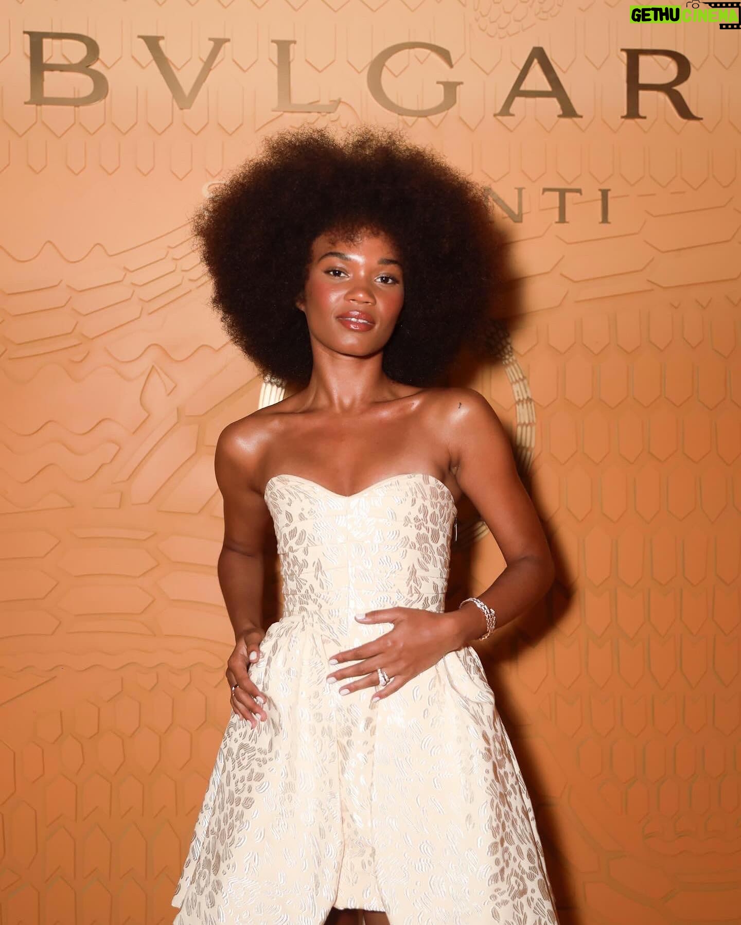 Agnes Nunes Instagram - Que noite memorável! Ontem na celebração de 75 anos da Serpenti, ícone da @bulgari. Além de também comemorar a colaboração criativa com o incrível artista brasileiro Gabriel Massan. A todo time da @bulgari , muito obrigada pelo convite para estarmos todos juntos nessa noite cheia de gente linda! Amei. 🌹✨🐍 #Serpenti75 #BulgariJewelry What a memorable night! Yesterday at the 75th anniversary celebration of Serpenti, @bulgari icon. In addition to also celebrating the creative collaboration with the incredible Brazilian artist Gabriel Massan. To the entire @bulgari team, thank you very much for the invitation to all be together on this night full of beautiful people! I loved. 🌹✨🐍 #Serpenti75 #BulgariJewelry Fotos: @joaokopv