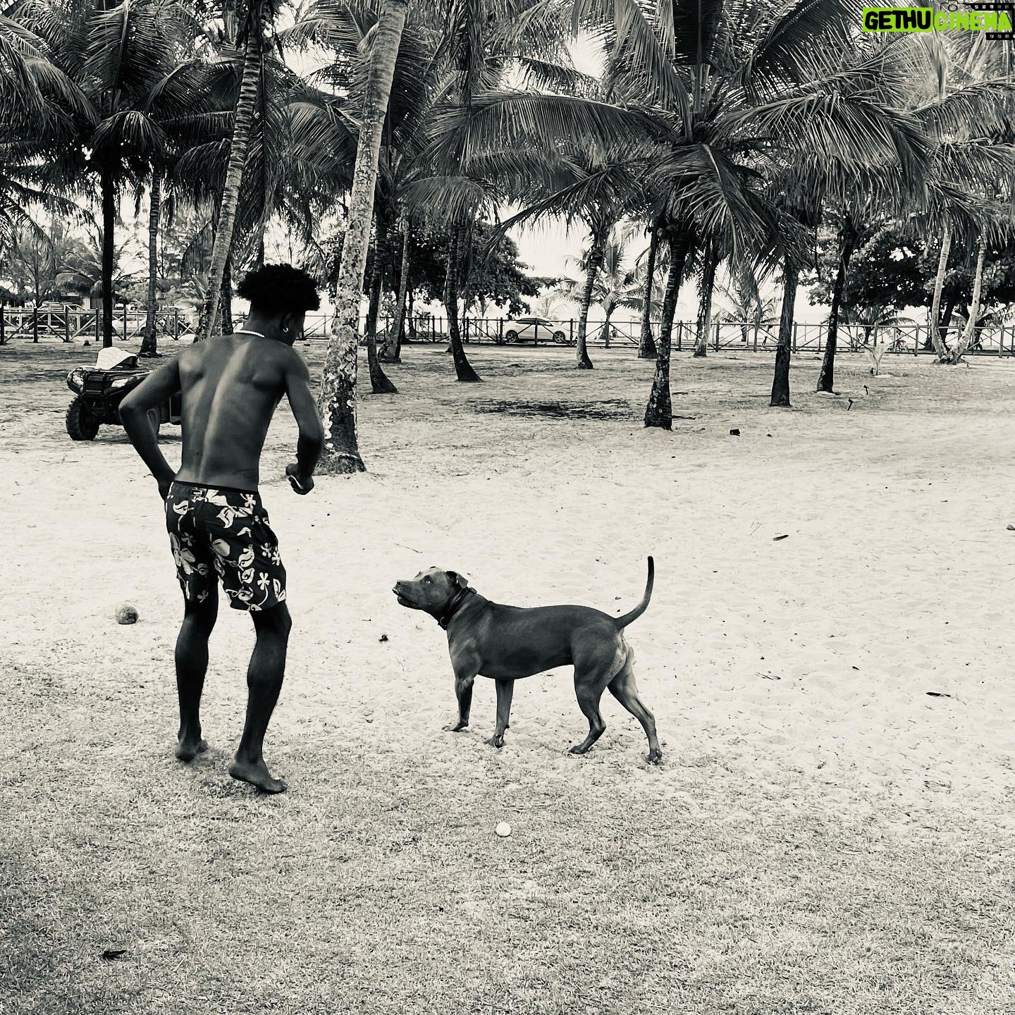 Agnes Nunes Instagram - você já foi a Bahia, nêga? @taylan.oficial melhor fotógrafo 🤍