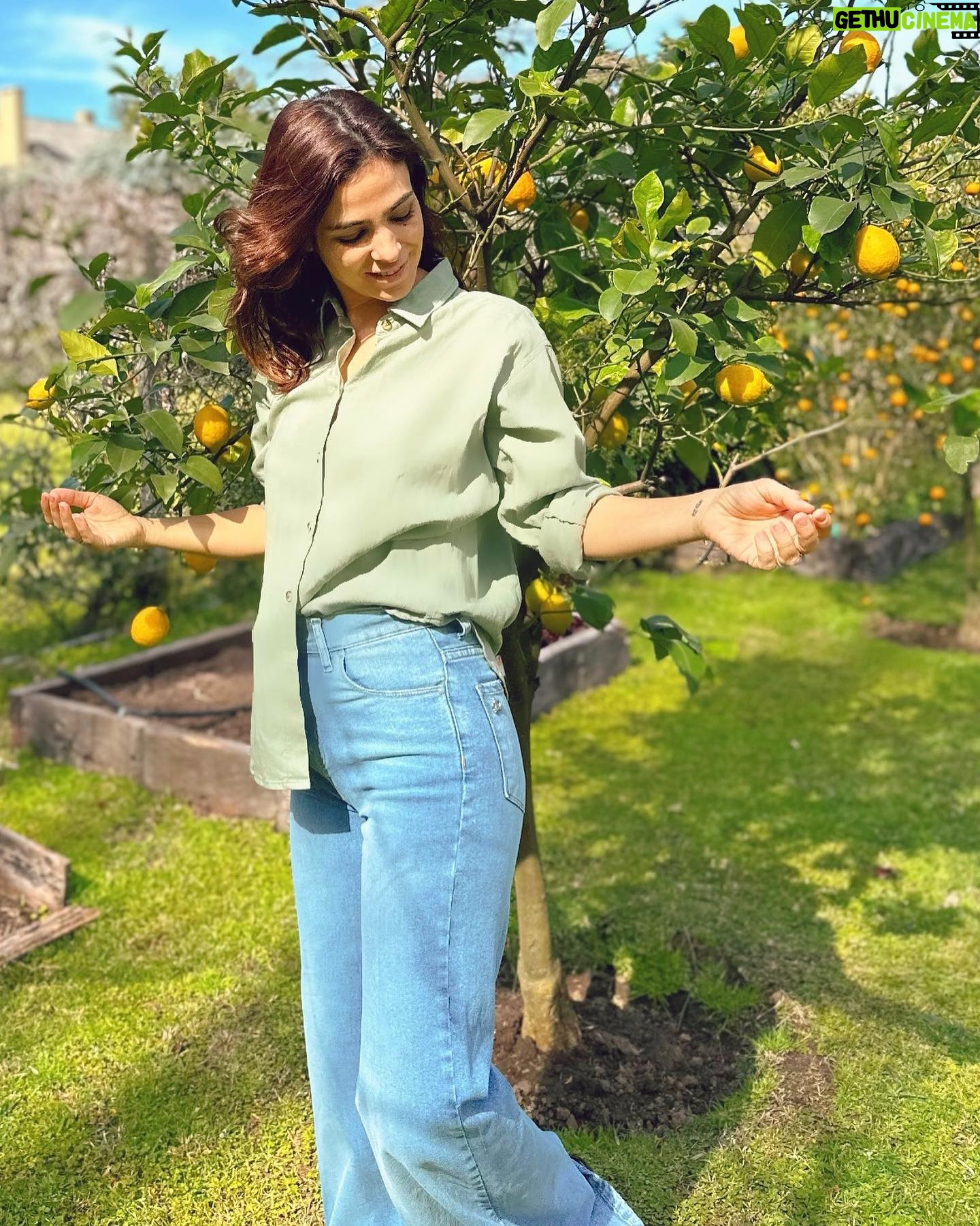 Agustina Cherri Instagram - Buen día ☀️ @paulacahendanversoficial
