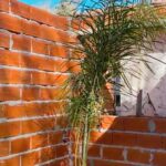 Agustina Cherri Instagram - Al fin puedo mostrarles cómo quedaron las ventanas de mi casa :) Vean el ANTES y sobre todo el DESPUÉS, que nos marca la diferencia. Pueden ver lo hermosas que quedaron las ventanas, que son de pvc y son de @muchtek.tecnoperfilesgroup (ojito ojazo, no es otra marca, sino que #TECNOPERFILES cambió su nombre, para expandirse y llegar así a todo el 🌍 Las elegimos con un diseño exclusivo en color Golden Oak - en un tono que tiene la calidez de la madera con las ventajas del PVC: son súper herméticas, aislantes, seguras, resistentes y datazo, son sustentables; me permiten ahorrar energía y poner mi granito de arena para un mundo más sostenible. Mis #VentanasEficientes de Muchtek las fabricó @aukot_aberturaspvc y tienen herrajes de @g_u.herrajes , fundamental para que todo el sistema ventana pueda funcionar al 100% y garantizarnos el diseño que soñamos y sobre todo el confort que tanto buscamos con toda esta remodelación.