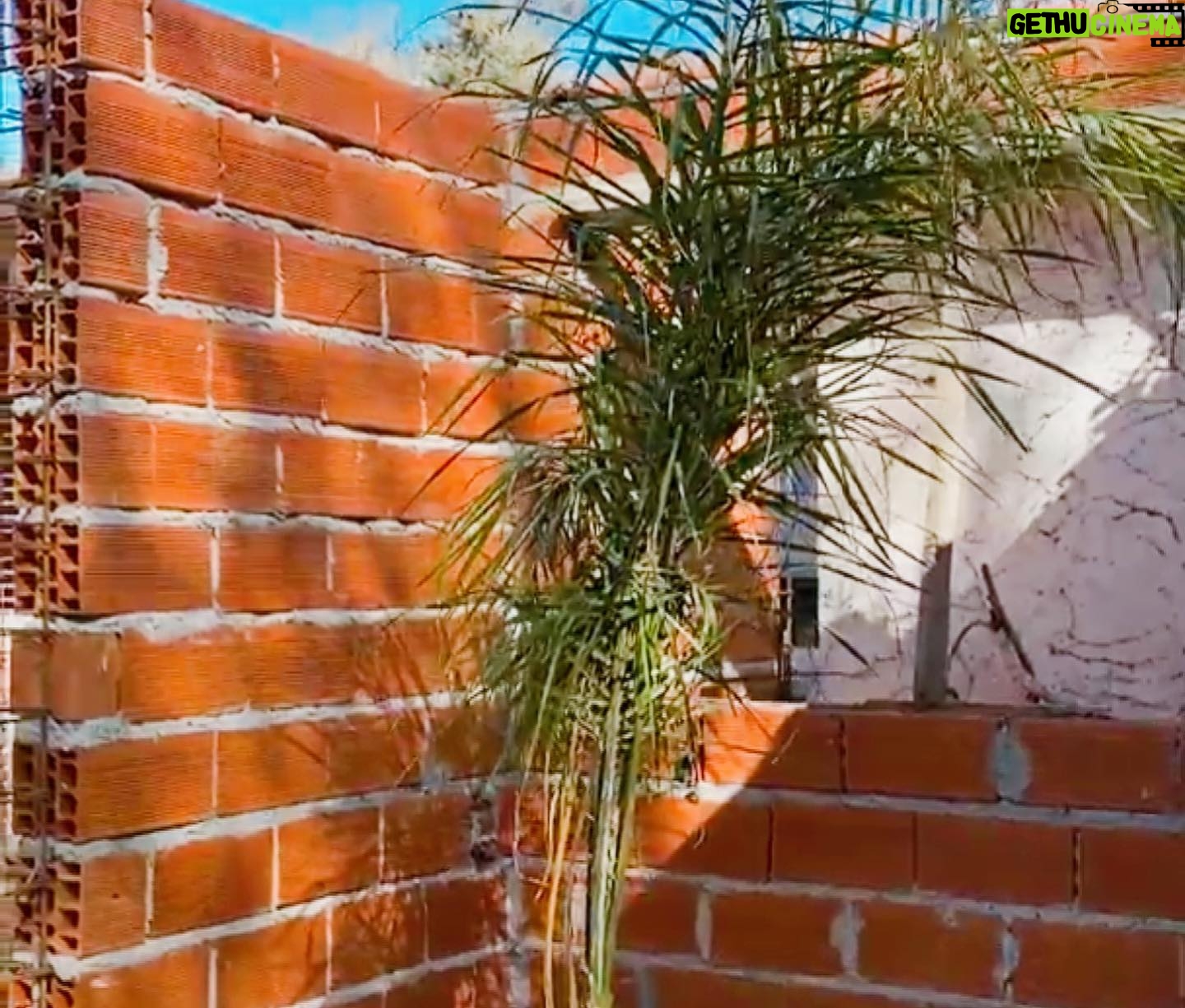 Agustina Cherri Instagram - Al fin puedo mostrarles cómo quedaron las ventanas de mi casa :) Vean el ANTES y sobre todo el DESPUÉS, que nos marca la diferencia. Pueden ver lo hermosas que quedaron las ventanas, que son de pvc y son de @muchtek.tecnoperfilesgroup (ojito ojazo, no es otra marca, sino que #TECNOPERFILES cambió su nombre, para expandirse y llegar así a todo el 🌍 Las elegimos con un diseño exclusivo en color Golden Oak - en un tono que tiene la calidez de la madera con las ventajas del PVC: son súper herméticas, aislantes, seguras, resistentes y datazo, son sustentables; me permiten ahorrar energía y poner mi granito de arena para un mundo más sostenible. Mis #VentanasEficientes de Muchtek las fabricó @aukot_aberturaspvc y tienen herrajes de @g_u.herrajes , fundamental para que todo el sistema ventana pueda funcionar al 100% y garantizarnos el diseño que soñamos y sobre todo el confort que tanto buscamos con toda esta remodelación.