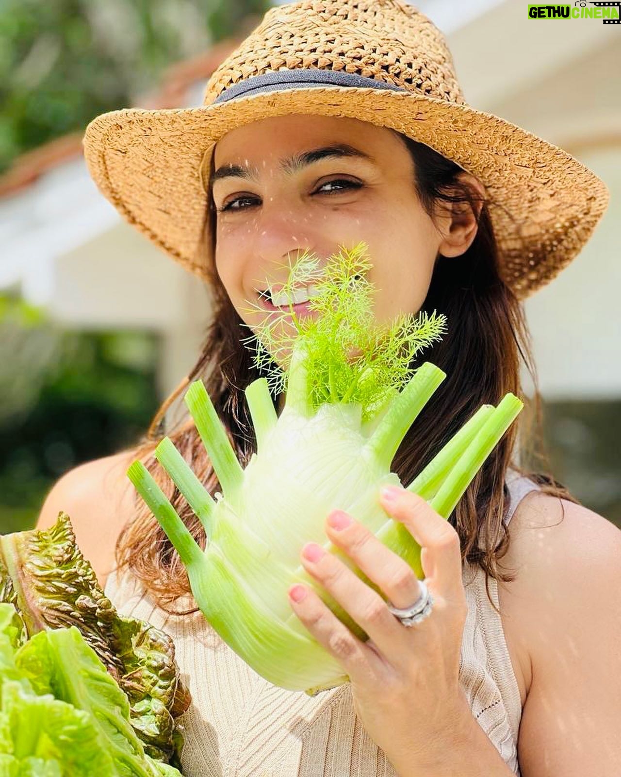 Agustina Cherri Instagram - En hinojo de mi huerta! El tamaño no se puede creer! Y mi orgullo tampoco ❤️🍀