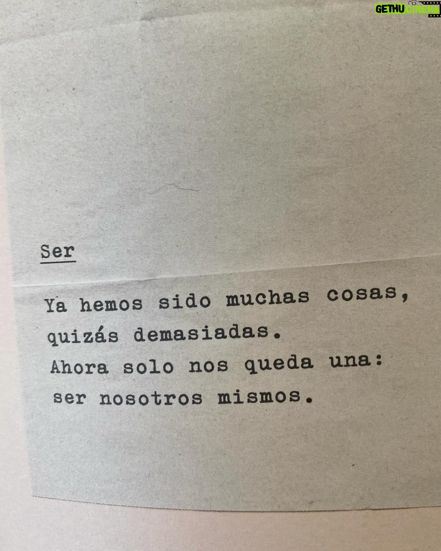 Agustina Palma Instagram - Si le dijera a mi pequeña Agustina que estaríamos aquí en este momento, viviendo todo lo que estoy sintiendo y creando, no lo creería. Esta profesión que elegí, tan hermosa y compleja, no es fácil. Nadie dijo que ningún camino fuera fácil, pero poco se habla del compromiso, la paciencia y la disciplina que uno debe tener para que las cosas sucedan. Si hoy me mantengo firme después de tantos años en ella, es porque desde el principio aprendí lo que significaba luchar por lo que uno quiere. Estoy literalmente al otro lado del mundo de donde nací, y aún no puedo procesar todo lo que sucede a mi alrededor. Mirar atrás y ver los puntos que me llevaron hasta donde estoy hoy no tiene sentido. A veces, la vida no tiene mucho sentido lógico. Nací en San Miguel de Tucumán, la ciudad más pequeña de Argentina y, a su vez, la que tiene más habitantes por metro cuadrado. Mi calle era de barro, jugábamos en la calle, eran otras épocas donde los sueños solo se hablaban y se trataban como algo lejano. Épocas donde creía que lo imposible se quedaría así para siempre, donde no sabía qué mundo existía fuera, lo POSIBLE DENTRO DE LO IMPOSIBLE. Después de tantos años alrededor de mi profesión he podido ver la capacidad y la alegría de vivir cada momento y experiencia como parte del éxito. Podría pensar que hago este post para recordarles que los sueños se materializan, y así es, pero también lo hago para recordarme y compartir conmigo misma que lo hemos logrado. Que una vez que se alcanzan esas metas, hay que volver a soñar, con ilusión y compromiso, nunca hay que perder esa capacidad de asombro ante la vida. CAMINANTE, NO HAY CAMINO SE HACE EL CAMINO AL ANDAR. No hay fórmulas ni caminos correctos, solo hace falta animarse con valor y valentía. Una vida llena de cambios es una vida llena de vida. ♥️ Gracias por compartir este caminito conmigo. Agus. 🚀
