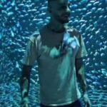 Ahmed Al Fishawy Instagram - The new Egyptian museum part 2 🪄🤩 Big fish in another verse #fishawy #egypt #egyptianmuseum