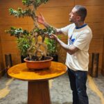 Ahmed Al Fishawy Instagram - My holy tree 🌳💚 #fishawy #ramadankareem
