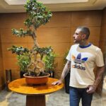 Ahmed Al Fishawy Instagram - My holy tree 🌳💚 #fishawy #ramadankareem