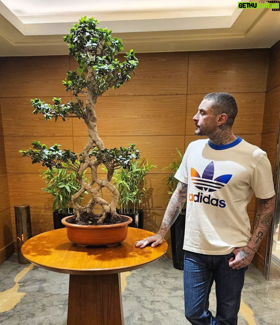 Ahmed Al Fishawy Instagram - My holy tree 🌳💚 #fishawy #ramadankareem
