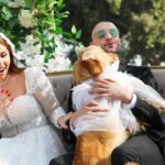 Ahmed Al Fishawy Instagram - صور زفاف حسن و ملك من فيلم "بنقدر ظروفك" هستناكوا في عيد الفطر المبارك أنشأالله بجميع سينمات مصر و الوطن العربي و رمضان كريم 🌜🕋💚 أنتاج : colombia art productions اشراف عام علي الانتاج : محمد علاء الدين تأليف : سمير النيل إخراج : ايمن مكرم بطولة احمد الفيشاوي @fishawyofficial مي سليم @maiselim نسرين طافش @nesreentafesh محمد محمود @mohamedmahmoud9745 محمود حافظ @mahmoudhafezofficial عارفة عبدالرسول @arfaabdelrasoul_official ابرام سمير @ebraamsamir99 طاهر ابو ليلة @taherabolela.official يوسف وائل نور @youssefwaelnour مع كوكبه من نجوم الكوميديا 🎥🥳❤️ #fishawy