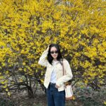 Ahn Eun-jin Instagram - 2024 SPRING🌼🌸🌺