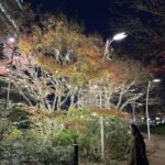 Ahn Eun-jin Instagram - #tokyo 👋