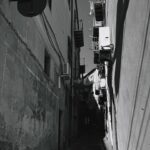 Ahsen Eroğlu Instagram – Ripley etkisi herhalde ben de anlamadım neden B&W 🦓