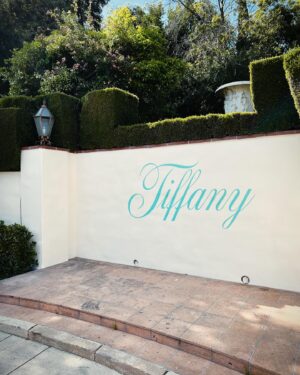 Ai Tominaga Instagram - ⁡
Tiffany’s Journey
@tiffanyandco
⁡