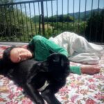 Ai Tominaga Instagram - ⁡ 🌲🐕‍🦺🌿🦉🌲 今日はいい天気だったね ベルも気持ち良さそうでした