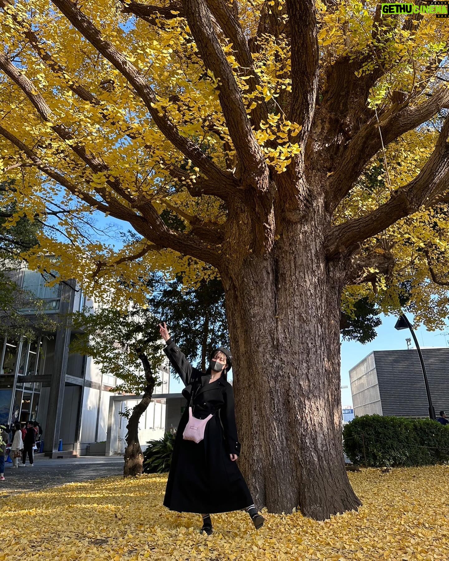 Ai Yoshikawa - 130.4K Likes - ☺︎
🩶