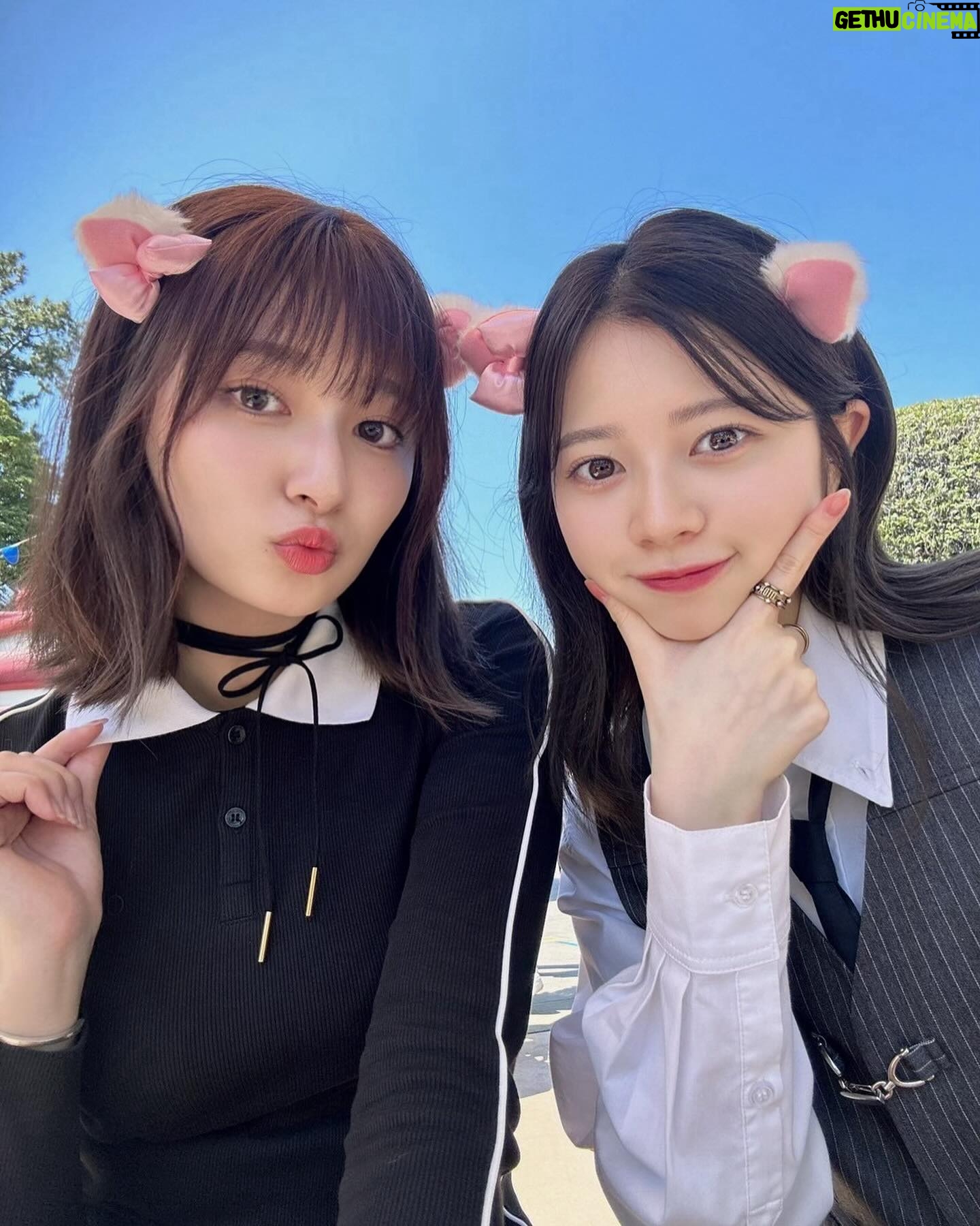 Ai Yoshikawa - 284.2K Likes - ☺︎
にゃ🐈⬛