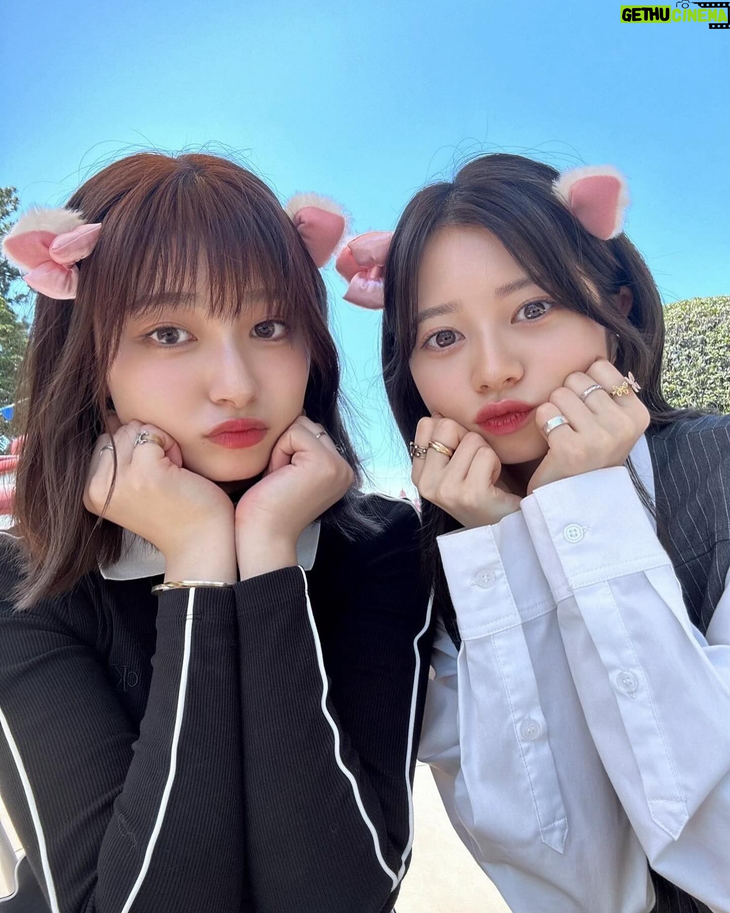 Ai Yoshikawa - 284.2K Likes - ☺︎
にゃ🐈⬛