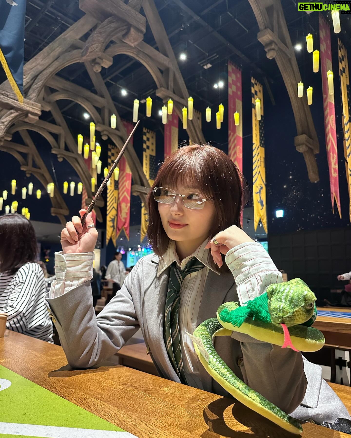 Ai Yoshikawa - 199.7K Likes - ☺︎
顔面と雰囲気と組み分け診断全部スリザリン、
ヘビ大好き女🐍