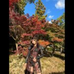 Ai Yoshikawa Instagram – ☺︎
Amazon Originalドラマ
「僕の愛しい妖怪ガールフレンド」が
本日配信スタートしました🦊
色々頑張りました、吉川。みーてね🩶
