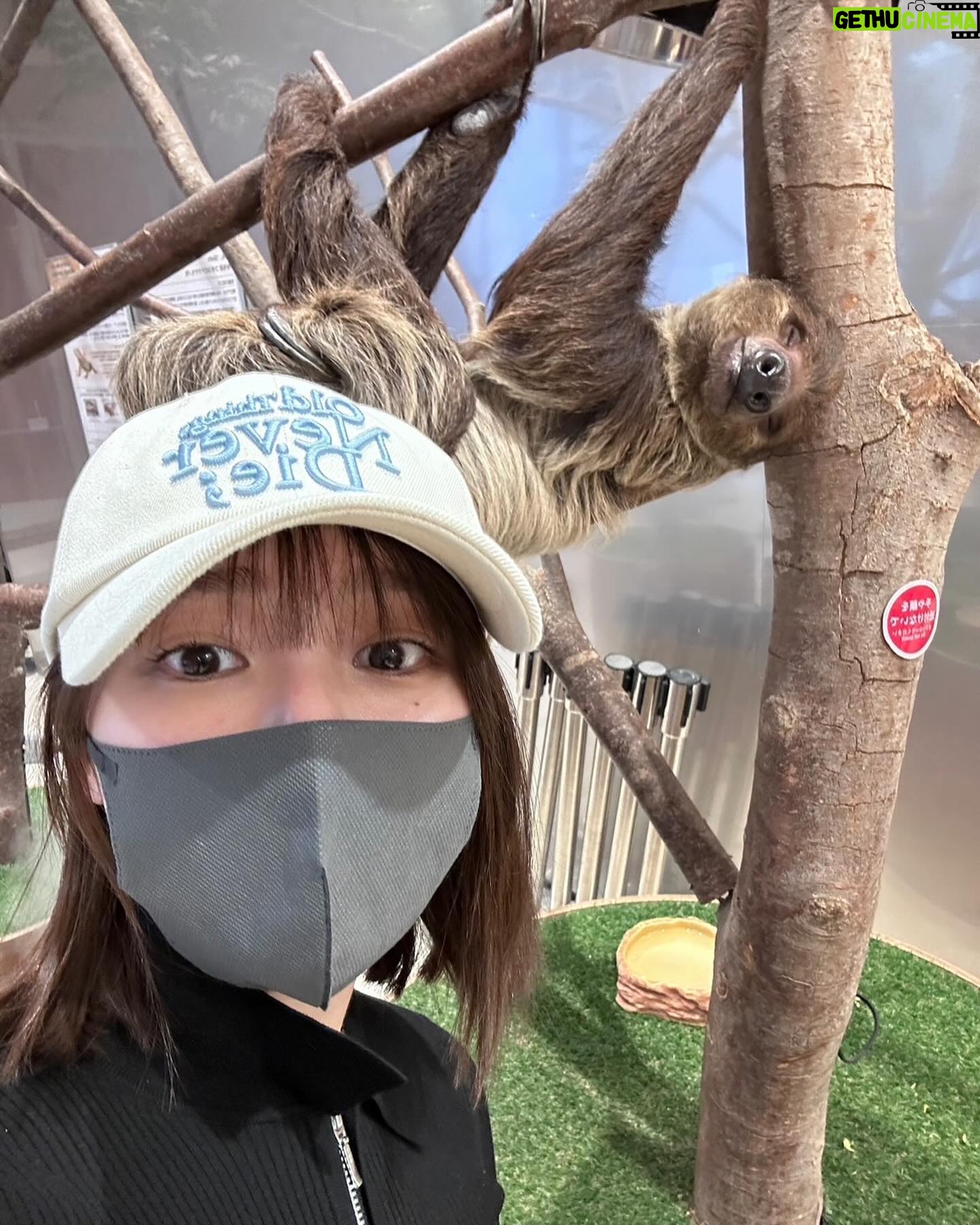 Ai Yoshikawa Instagram - ☺︎ マルス8話みてね〜💜 (今日の私。まみーは苦手なヘビ、首に巻いてた^^