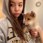Ailee Instagram - 호듀우~💕 #시바 Hodu #shiba