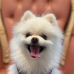 Ailee Instagram - 솜이랑 오랜만에 둘이 데이트💕 @_kimjaekyung_ 언니가 추천 해준 그곳!! #달려라코코