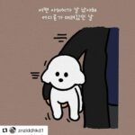 Ailee Instagram - 생명은.. 생명입니다.... 아침부터 눈물이 쏟아지네요.. 제발... 그냥 넘어 가지 마시고 많은 관심과 도움 부탁 드릴게요... 저도 열심히 밍이를 위해 제가 할수있는 모든것에 동참하겠습니다... #견주님힘내세요 #Repost @znzlddhkd1 with @get_repost ・・・ 사랑하는 밍이가 납치되어 살해당했습니다 안녕하세요 올해 9살이 된 반려견 밍이와 저는 행복한 미래를 꿈꾸고 있었습니다. 저에겐 너무 소중한 가족이었어요. 2020년 11월 20일, 영업이 끝난 저희 가게에서 잠이 들었는데 낯선 남자가 영업을 계속하라며 문을 발로 차고 문을 세게 흔들며 도어락 비번을 누르는 등 행패를 부려 경찰에 신고했습니다. 도착한 경찰에게 조사를 응하는 사이 밍이가 사라졌고 생업을 중단한 채 전단지를 뿌리며 밍이를 찾기에 나섰지만 사건 당시 침입하려 했던 남자가 밍이를 데리고 도주해서 한 골목으로 들어간 장면이 담긴 CCTV만 남아있을 뿐 경찰의 부실수사가 이어졌고 밍이는 흔적조차 찾을 수 없었습니다. 결국 27일째, 납치범 집 부근에서 밍이는 죽은채 발견됐습니다. 부검결과 다리와 머리가 골절된 걸로 보아 누군가다리를 잡고 어딘가에 강하게 내려쳤을 가능성이 높습니다. 사랑하는 밍이를 잃은 뒤 너무 절망스러운 상황에 외상 후 스트레스 장애로 인한 트라우마가 자리잡힌 뒤 수면도 식사도 잘 하지 못할 만큼 일상생활이 불가능한 상황에 놓여 있습니다 가해자는 확실한 증거가 있는데도 반성은 커녕 밍이를 자기가 죽이지 않았다며 부인하고 밍이네 가족인 저희에게 직접 찾아와 협박하고 내가 죽인 증거 있냐, 고소하겠다,가만두지 않겠다며 위협까지 하고 있습니다.  또 '그냥', '예뻐서' 밍이를 데려갔다며 말도 안되는 변명을 당당하게 주장해 피해자인 가족에게 깊은 상처와 두번 죽이는 행동을 반복하고 있습니다. 매스컴을 타고 기사도 났지만, 저번 청원은 6만명에 그친 채 마무리 되었고 다시 한번 용기를 내 국민청원 중입니다. 하지만 사람들의 관심이 사그라들었는지 전보다 청원수가 더딘 실정입니다. 청원이 이루어져도 제 삶의 전부였던 밍이가 다시 돌아올 수 없지만 이런 일이 생기지 않도록 가해자를 강력처벌해야합니다. 국민청원에 동참해주시길 간곡히 부탁드립니다. 밍이를 찾는 과정 속에서 정말 수많은 일이 있었는데 글로 다 표현할 수 없어 최근 코와 입이 잘린 유기견 순수를 임보하며 국민청원 진행하신 폴이맘님의 도움으로 청원홍보와 여러분들의 이해를 도울 영상을 제작하려고 합니다 빠른 시일내에 영상 게시하면 많은 시청해주시고 응원과 청원 꼭 부탁드립니다. #리그램해주세요 #리그램부탁드려요 #강아지 #댕댕이 #개스타그램 #댕댕이산책 #댕스타그램 #강사모 #고양이라서다행이야 #강아지일상 #강아지소통 #반려견사랑 #동물사랑 #비글구조네트워크 #토끼집사 #강아지맞팔
