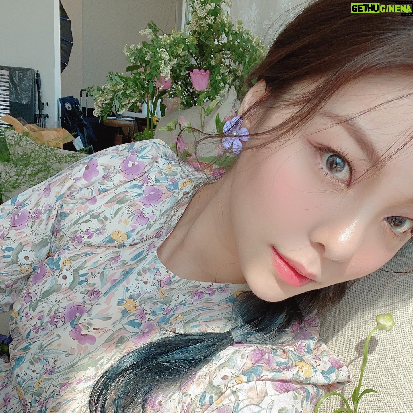 Ailee Instagram - 우리 꽃잎들 안녕~? 컬러링북 잘 칠하고 있나앙~? #아미쓔마에일리언즈 #imissumaaileeans 💄: @gil_beauty_ 💇🏼♀️: @aluu_jihyun557 👗: @leeaeri_l