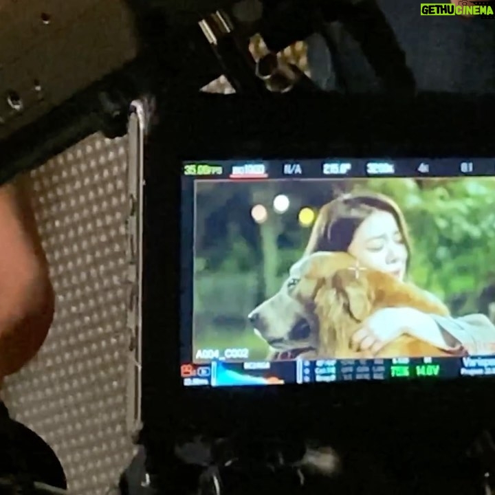 Ailee Instagram - Expectation vs Reality pt 2 Lui needs some love every minute in between shots to bring out those emotions ๐คฃ ์ฐ๋ฆฌ ๋ฃจ์ด๋ 1๋ถ์ ํ๋ฒ์ฉ ์๋ปํด์ค์ผ ์ฐ๊ธฐ๋ฅผ ์ ํด์ ๐คฃ @luimori.smile