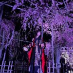 Airi Suzuki Instagram - ✴︎ 平安神宮 桜音夜コンサート2024🌸 ピアニスト菊池亮太さんと。 当日の桜は最高に見頃な状態。 お天気にも恵まれて幸せな1日でした。 このステージにボーカリストが立つのは、なんと私が初めてだったそう。なんと光栄すぎることでしょう... 個人的には、20代ラストの歌唱がこのステージだったことも何かの縁かな？と思うタイミングでした。 なんだかすっごく不思議だったの。 清い、神聖なる、というのはこういう空気のことをいうのかと。ステージの上で歌うことはずっとしてきたはずなのに、その感覚が初めましてなものすぎて。 いつまでも天に向かって歌えそうな気持ちでした。 そして お衣装もヘアメイクも本当に素敵にしていただきました😢 和服をアレンジした感じが良い！っていう私のざっくりとしたオーダーのもと、いつものスタッフさん方が全力で取り組んでくださって完成したものでした☺︎ いつもいつも本当に感謝！！！ 本番はステージが遠かったから細部が見えなかったかと思うので、写真たくさん載せますね☺️ 👘 @lisakubo_kimono 足を運んでくださった皆様もありがとうございました！！ 素敵な週末をお過ごしくださいね ☺︎
