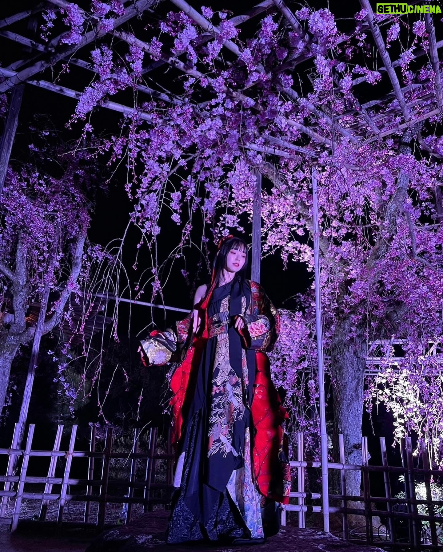 Airi Suzuki - 92K Likes - ✴︎ 平安神宮 桜音夜コンサート2024🌸
ピアニスト菊池亮太さんと。
当日の桜は最高に見頃な状態。
お天気にも恵まれて幸せな1日でした。
このステージにボーカリストが立つのは、なんと私が初めてだったそう。なんと光栄すぎることでしょう...
個人的には、20代ラストの歌唱がこのステージだったことも何かの縁かな?と思うタイミングでした。
なんだかすっごく不思議だったの。
清い、神聖なる、というのはこういう空気のことをいうのかと。ステージの上で歌うことはずっとしてきたはずなのに、その感覚が初めましてなものすぎて。
いつまでも天に向かって歌えそうな気持ちでした。
そして
お衣装もヘアメイクも本当に素敵にしていただきました😢
和服をアレンジした感じが良い!っていう私のざっくりとしたオーダーのもと、いつものスタッフさん方が全力で取り組んでくださって完成したものでした☺︎
いつもいつも本当に感謝!!!
本番はステージが遠かったから細部が見えなかったかと思うので、写真たくさん載せますね☺️
👘 @lisakubo_kimono
足を運んでくださった皆様もありがとうございました!!
素敵な週末をお過ごしくださいね ☺︎