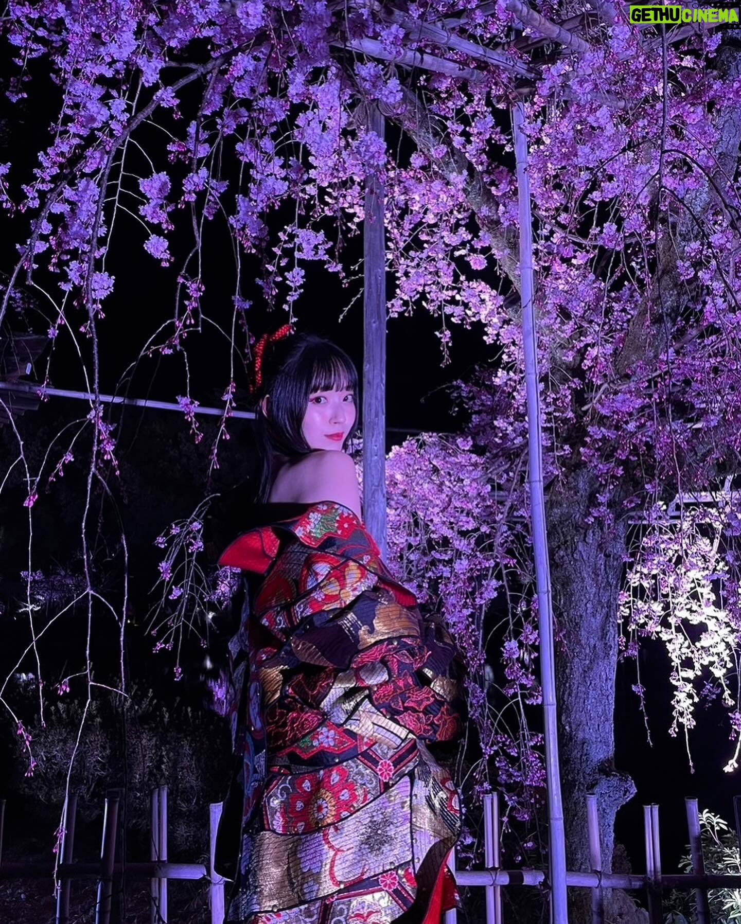 Airi Suzuki - 92K Likes - ✴︎ 平安神宮 桜音夜コンサート2024🌸
ピアニスト菊池亮太さんと。
当日の桜は最高に見頃な状態。
お天気にも恵まれて幸せな1日でした。
このステージにボーカリストが立つのは、なんと私が初めてだったそう。なんと光栄すぎることでしょう...
個人的には、20代ラストの歌唱がこのステージだったことも何かの縁かな?と思うタイミングでした。
なんだかすっごく不思議だったの。
清い、神聖なる、というのはこういう空気のことをいうのかと。ステージの上で歌うことはずっとしてきたはずなのに、その感覚が初めましてなものすぎて。
いつまでも天に向かって歌えそうな気持ちでした。
そして
お衣装もヘアメイクも本当に素敵にしていただきました😢
和服をアレンジした感じが良い!っていう私のざっくりとしたオーダーのもと、いつものスタッフさん方が全力で取り組んでくださって完成したものでした☺︎
いつもいつも本当に感謝!!!
本番はステージが遠かったから細部が見えなかったかと思うので、写真たくさん載せますね☺️
👘 @lisakubo_kimono
足を運んでくださった皆様もありがとうございました!!
素敵な週末をお過ごしくださいね ☺︎