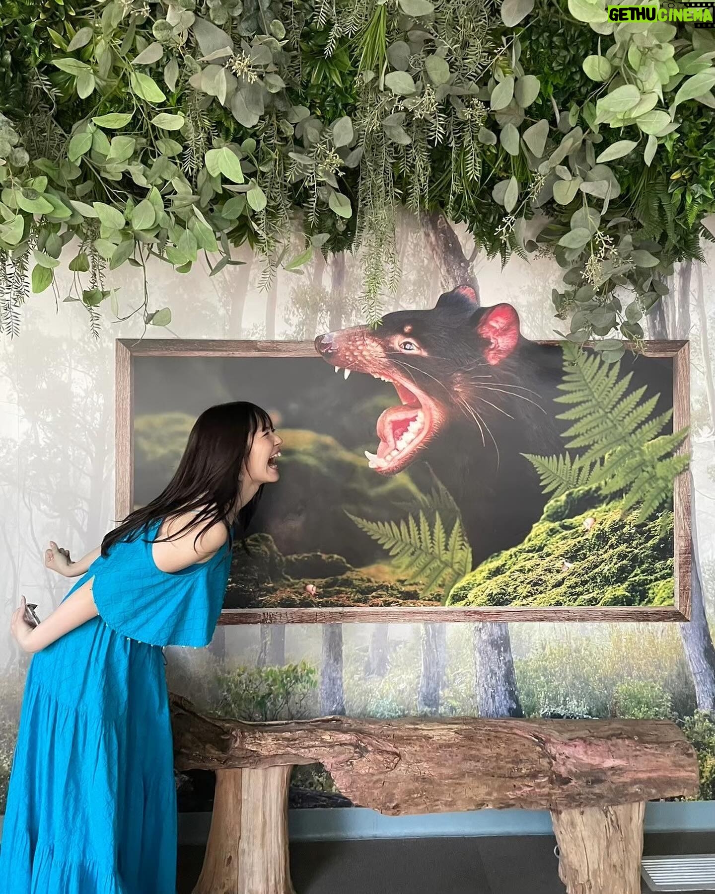 Airi Suzuki - 95.4K Likes - ✈️
ANAから、日本→シドニーの直行便が出来たということで、、、
「ANAぷち散歩」という企画にて
オーストラリア・シドニーへ行って来ました🐨🇦🇺
本当ご褒美みたいなお仕事。
美味しいもの食べて、お買い物して、素敵な場所に行って、、、はぁ今すぐにでもまた行きたい!
そう思える最高の場所でした♡
実はオーストラリアでは他のお仕事もしてきたのだけど
それはまたおいおい😌
今回の旅の様子は
YouTubeの「ANA【公式】BLUE SKY NEWS」チャンネルにて観られますので、是非♡
#タベルスズキ 満載だよー!!!🤭
#ana
#AnIHGHotels
#hotelindigosydneypottspoint
#ホテルインディゴシドニーポッツポイント #ad