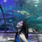 Airi Suzuki Instagram - ✈️ ANAから、日本→シドニーの直行便が出来たということで、、、 ⁡ 「ANAぷち散歩」という企画にて オーストラリア・シドニーへ行って来ました🐨🇦🇺 ⁡ 本当ご褒美みたいなお仕事。 美味しいもの食べて、お買い物して、素敵な場所に行って、、、はぁ今すぐにでもまた行きたい！ そう思える最高の場所でした♡ ⁡ 実はオーストラリアでは他のお仕事もしてきたのだけど それはまたおいおい😌 ⁡ 今回の旅の様子は YouTubeの「ANA【公式】BLUE SKY NEWS」チャンネルにて観られますので、是非♡ #タベルスズキ 満載だよー！！！🤭 ⁡ #ana #AnIHGHotels #hotelindigosydneypottspoint #ホテルインディゴシドニーポッツポイント #ad