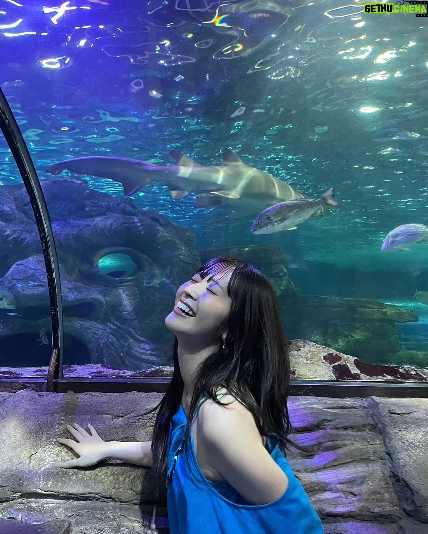 Airi Suzuki - 95.4K Likes - ✈️
ANAから、日本→シドニーの直行便が出来たということで、、、
「ANAぷち散歩」という企画にて
オーストラリア・シドニーへ行って来ました🐨🇦🇺
本当ご褒美みたいなお仕事。
美味しいもの食べて、お買い物して、素敵な場所に行って、、、はぁ今すぐにでもまた行きたい!
そう思える最高の場所でした♡
実はオーストラリアでは他のお仕事もしてきたのだけど
それはまたおいおい😌
今回の旅の様子は
YouTubeの「ANA【公式】BLUE SKY NEWS」チャンネルにて観られますので、是非♡
#タベルスズキ 満載だよー!!!🤭
#ana
#AnIHGHotels
#hotelindigosydneypottspoint
#ホテルインディゴシドニーポッツポイント #ad