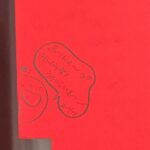 Airi Suzuki Instagram - ✴︎ NEW ALBUM 「28/29」フラゲ💿 裏も可愛い。特典も色々☺︎ 渋谷のタワレコさんでは1週間ほど「推」オブジェや、アルバムジャケ写のパネル展開催していただいております♡ 嬉しい！！ コメント残してきました。 みんなので埋め尽くして欲しい！！！！ マネージャーさんのもあるぞ〜探してね♡ なんだか今回のアルバム、涙出ちゃうの！！ ２年間の色々を思い出すというか。 記憶がぶぁーーーって蘇るというか。 結局音楽してる時が1番鈴木愛理なんだなって。 各方面にありがとうの気持ちでいっぱい！伝えきれてるか心配になっちゃう！！！！ 何気にremixされたシリーズも超お気に入り。 shampooなんかはまた違った顔を見せてくれているよ☺︎ 感想きかせてー！！！！ #愛理2829