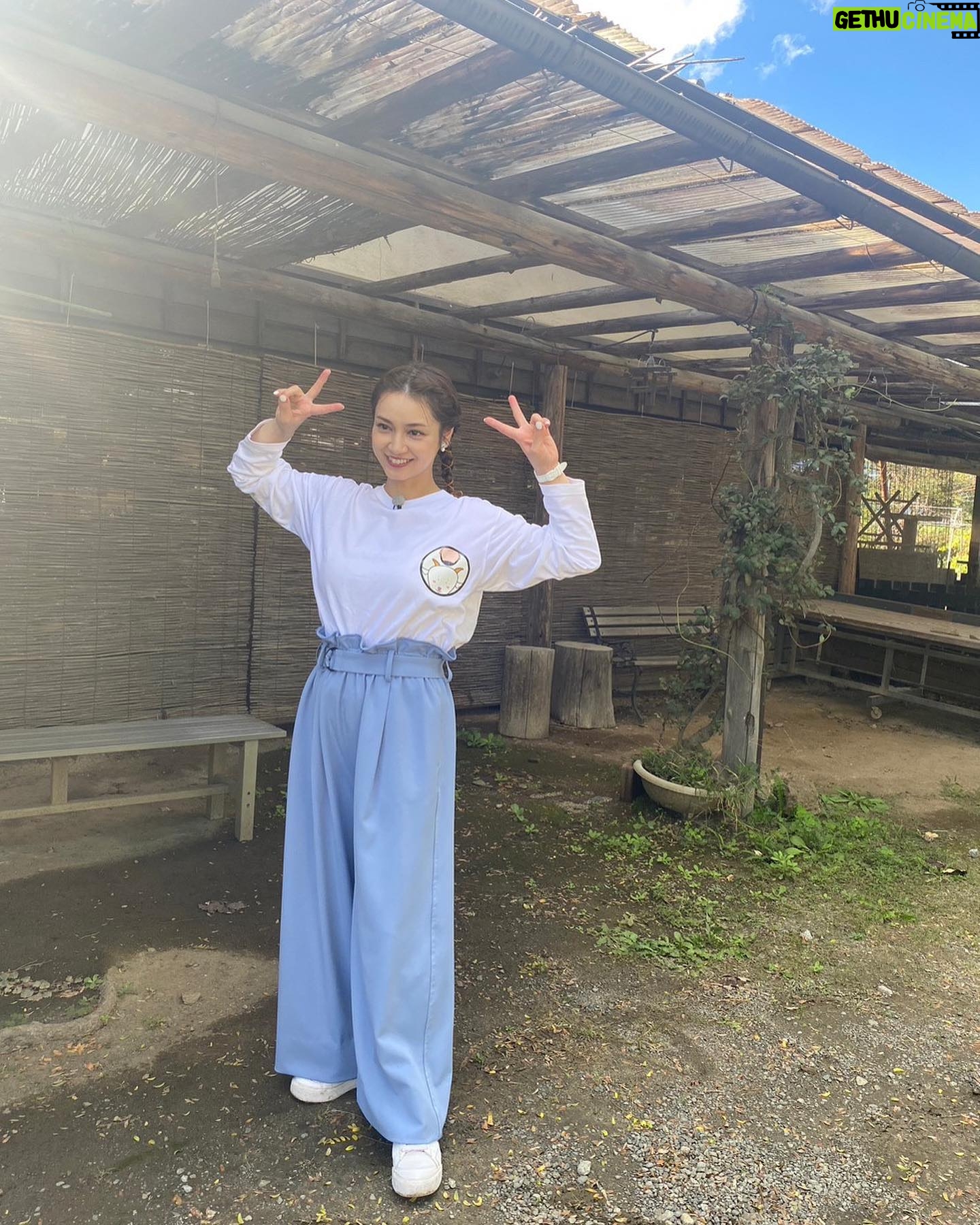 Airi Taira Instagram - 今夜7:25テレビ東京 「ヤギと大悟」📺 7年振りのロケ✨ 5ヶ月赤ちゃんと初めて数時間離れることになるけど大丈夫かな〜と、実家から子守りに来てくれた母に託してロケへ飛び込んでみた✨ ヤギさんと大悟さんとひたすらお散歩✨ ただただ楽しくてあっという間のロケでヤギさんから人間と変わらないココロの喜怒哀楽を学んだ🥹 7年振りのロケで「私らしく」居させてもらえたことが何より楽しくて大悟さんに感謝デス🙏 西野さんにもお会いできて嬉しかった🥰 ありがとうございました🙏 #ヤギと大悟#ありのままのロケ#自由気ままに#楽しかった#授乳中だから#ロケが心配だったけど#やっぱり#ロケは楽しい#地方大好き#ありがとうございました