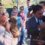 Ajda Pekkan Instagram – Bodrum Belediye Başkanımız Sevgili Ahmet Aras Beyefendi nezdinde tüm belediye çalışanlarını ve desteklerini esirgemeyen hayvansever dostlarımızı gönülden tebrik ediyorum, sokak hayvanları için yaptıkları ve yapacakları çalışmalar tüm Belediyelerimize örnek teşkil edecek nitelikte, ben de bu projelerin hem destekçisi hem takipçisi olacağım ☺️ Lütfen sizler de yardımlarınızı esirgemeyin 🙏🏻
Unutmayalım ki bir ülkenin medeniyet seviyesi sadece ekonomik gelişimiyle değil, kadına , çoçuğa , doğaya , hayvanlara verdiği değerle ölçülür…
Sevgiyle kalın 💙 #sokakhayvanlarısahipsizdeğil #