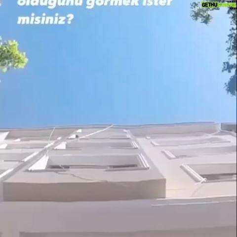 Ajda Pekkan Instagram - LÜTFEN ! Bu cok sicak havalarda sokak hayvanlarimizi unutmayalim 🥹🐈🐕🕊️🐓#ajdapekkan #sokakhayvanları #hayvanlardostumuzdur #