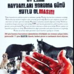 Ajda Pekkan Instagram - 4 Ekim Hayvanları koruma haftasını kutlamayalım, bu samimiyetten uzak bir yaklaşım , zaten koruyup sahip çıkamıyoruz bu canlara , sene de 1 gün kutlasak ne olur !? Herkesi , Yüce Allah’ın yarattığı , hayat verdiği tüm canlılara vicdanla merhametle ve medeniyetle sahip çıkmaya davet ediyorum. Sevgiyle Kalın …